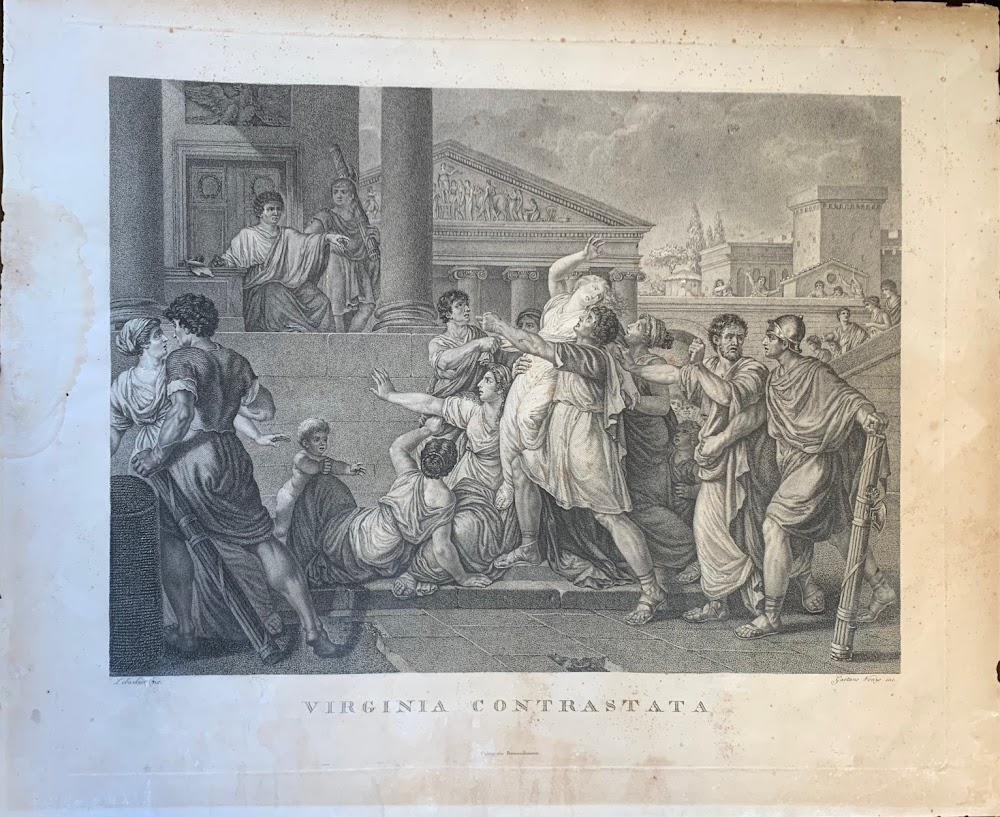 VIRGINIA CONTRASTATA