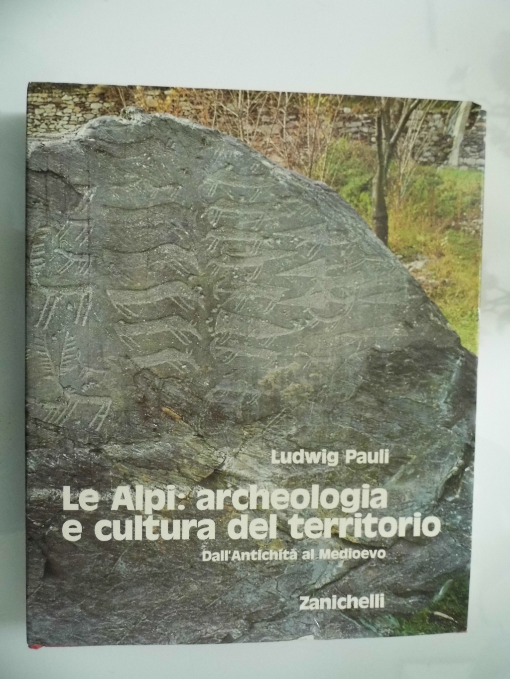 ALPI: ARCHEOLOGIA E CULTURA DEL TERRITORIO DALL'ANTICHITA' AL MEDIOEVO