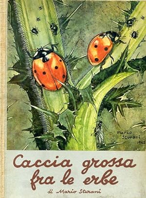 CACCIA GROSSA FRA LE ERBE