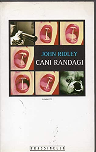 CANI RANDAGI