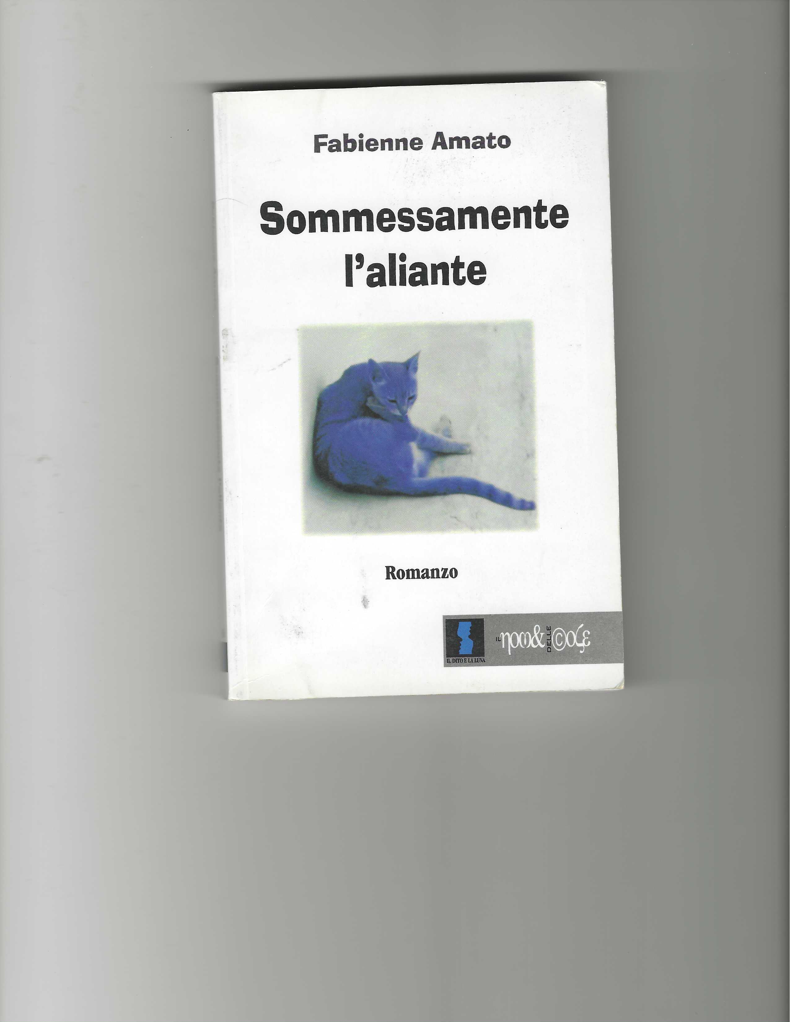 Sommessamente l'aliante