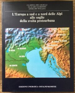 L'europa A Sud E A Nord Delle Alpi Alle Soglie …