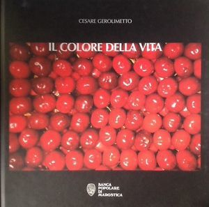 Il Colore Della Vita Cesare Gerolimetto Marostica Antiga Edizioni