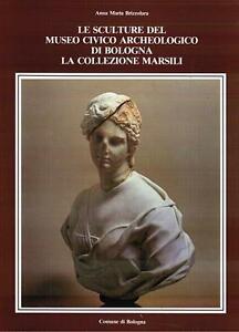 Le Sculture Del Museo Civico Archeologico Di Bologna. La Collezione …