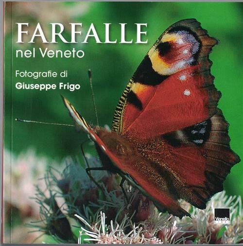 Farfalle Nel Veneto Giuseppe Frigo Vianello 2014