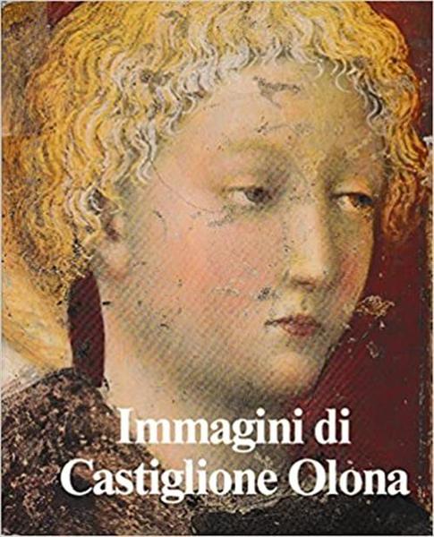 Immagini Di Castiglione Olona