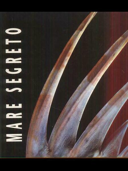 Mare Segreto Jeffrey L. Rotman White Star 2001