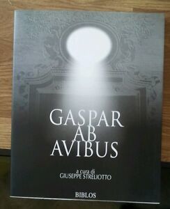 Gaspar Ab Avibus. Incisore Cittadellese Del Xvi Secol