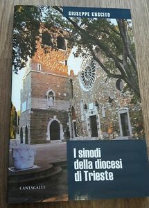 I Sinodi Della Diocesi Di Trieste