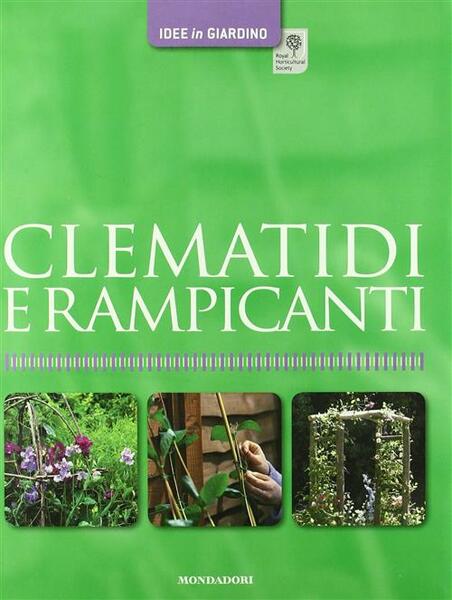 Clematidi E Rampicanti