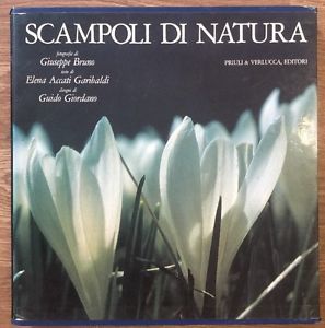 Scampoli Di Natura Giuseppe Bruno Elena Garibaldi Guido Giordano Priuli …