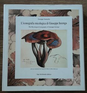 L'iconografia Micologica Di Giuseppe Inzenga. The Mycological Iconography Of Giuseppe …