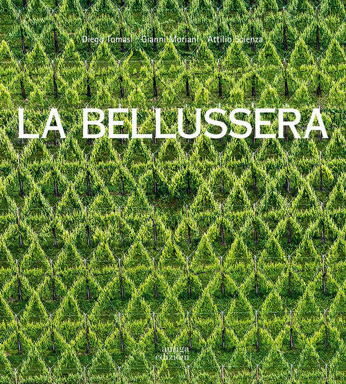 La Bellussera. Storia Di Un'invenzione Che Innovo La Viticoltura Diego …