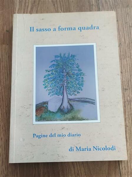 Il Sasso A Forma Quadra. Pagine Del Mio Diario