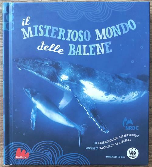 Il Misterioso Mondo Delle Balene
