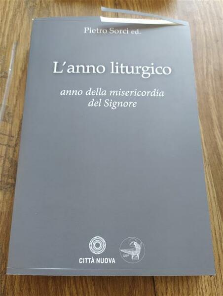 L' Anno Liturgico Della Misericordia. Anno Della Misericordia Del Signore