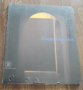 Diego Esposito. Passaggi. Ediz. Trilingue