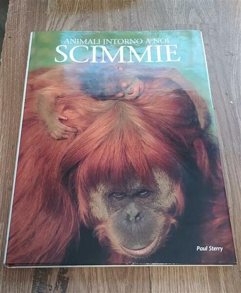 Scimmie