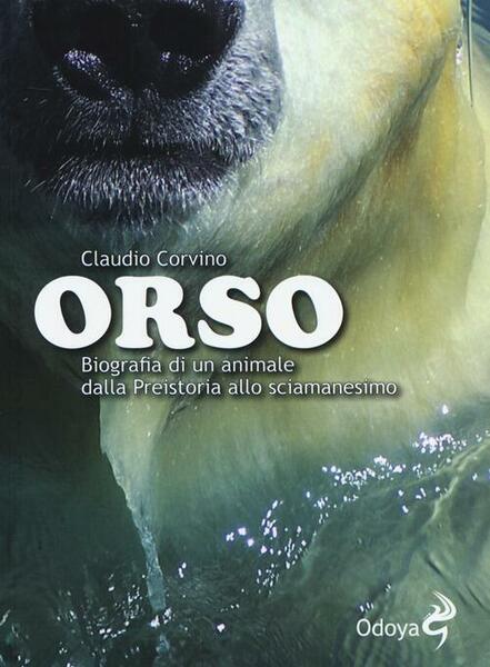 Orso. Biografia Di Un Animale Dalla Preistoria Allo Sciamanesimo