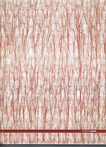 Ghada Amer