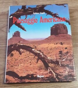 Paesaggio Americano. Seipelt Andreas. 1985