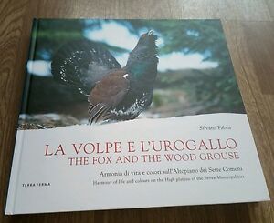 La Volpe E L'urogallo. Armonia Di Vita E Colori Sull'altopiano …