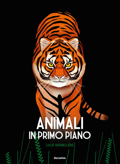 Animali In Primo Piano Lucie Brunelliere Mondadori Electa 2019