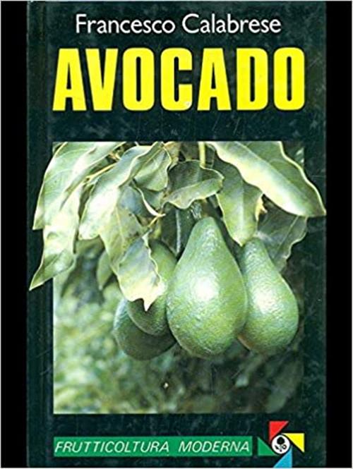 Avocado Francesco Calabrese Edagricole (Bologna) 1989