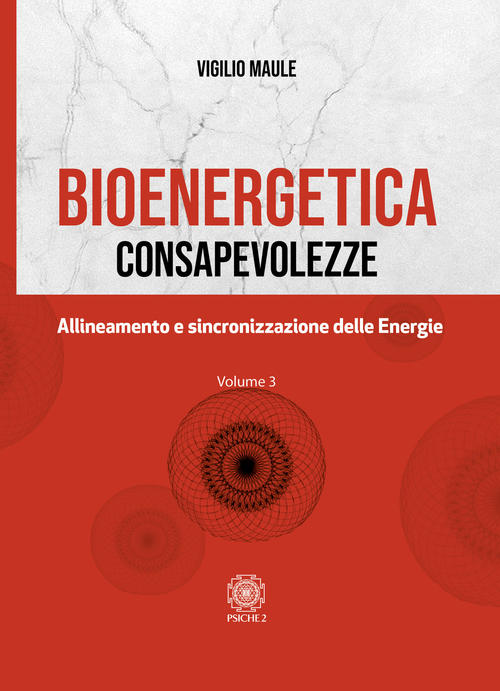 Bioenergetica. Consapevolezze. Vol. 3: Allineamento E Sincronizzazione Delle Energie.