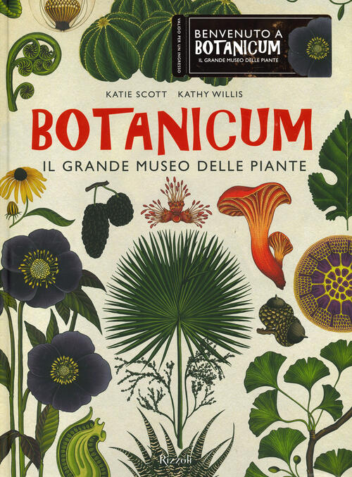 Botanicum. Il Grande Museo Delle Piante Katie Scott Mondadori Electa …