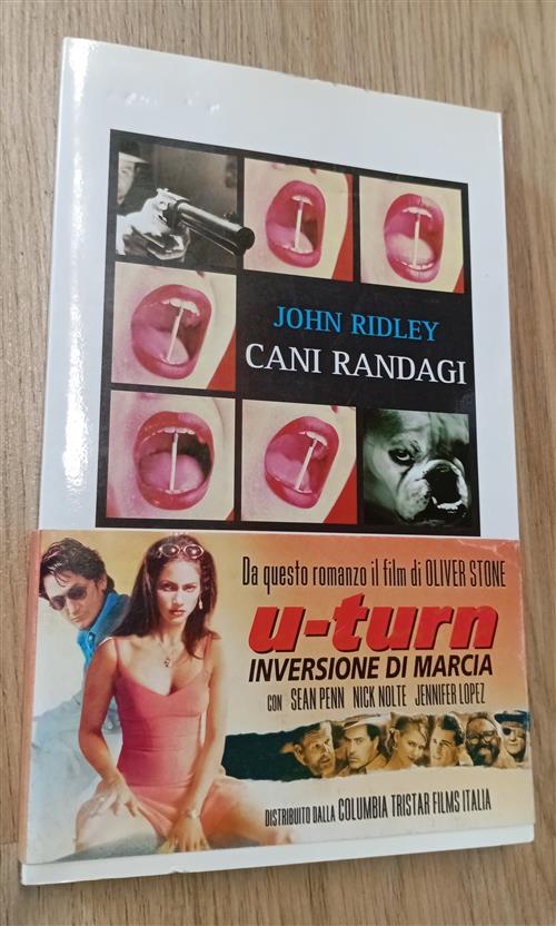 Cani Randagi