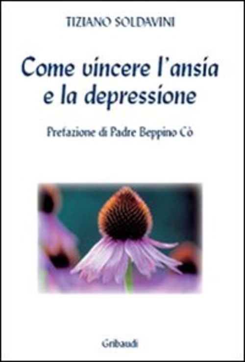 Come Vincere L'ansia E La Depressione Tiziano Soldavini Gribaudi 2008
