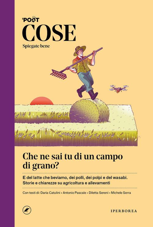 Cose Spiegate Bene. Che Ne Sai Tu Di Un Campo …