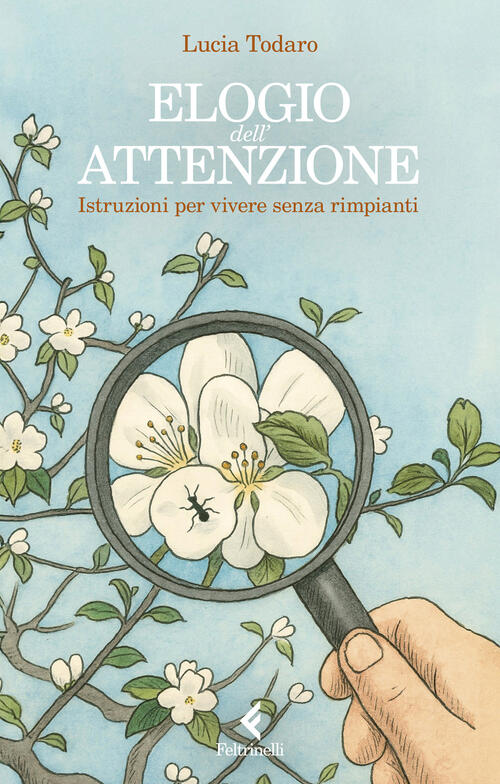 Elogio Dell'attenzione. Istruzioni Per Vivere Senza Rimpianti Lucia Todaro Fel