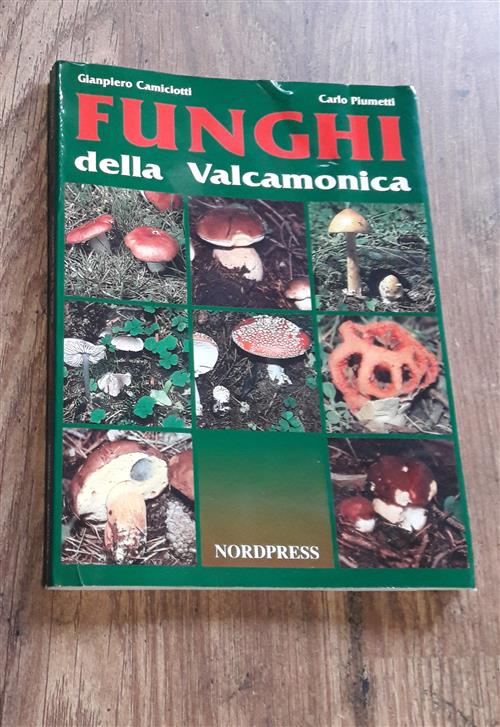 Funghi Della Valcamonica Giampiero Camiciotti Nordpress 1997