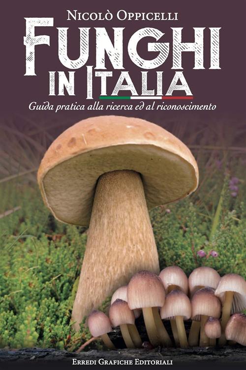 Funghi In Italia. Guida Pratica Alla Ricerca E Al Riconoscimento …