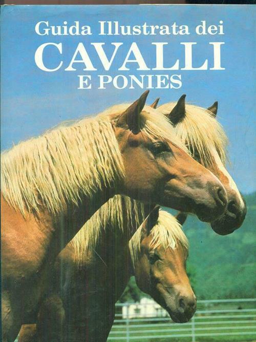 Guida Illustrata Dei Cavalli E Ponies