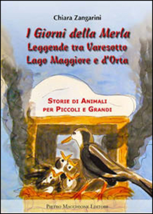 I Giorni Della Merla. Leggende Tra Varesotto Lago Maggiore E …