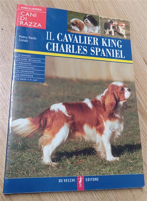 Il Cavalier King Charles Spaniel