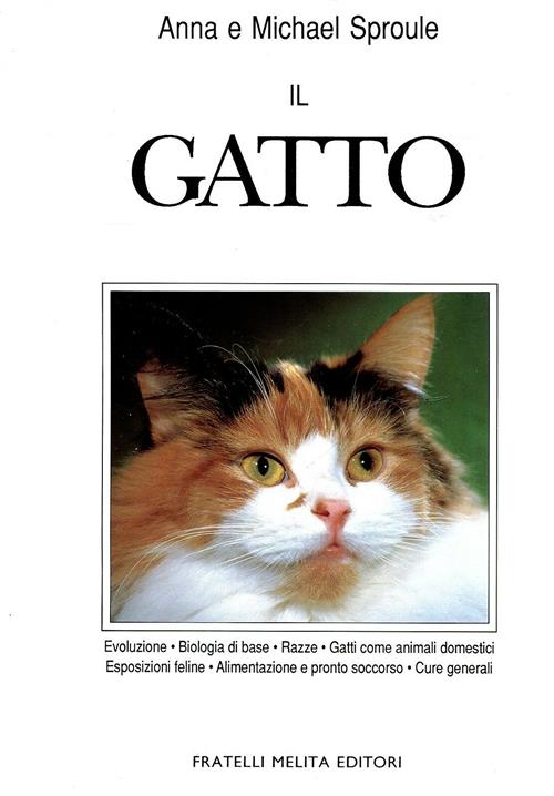 Il Gatto