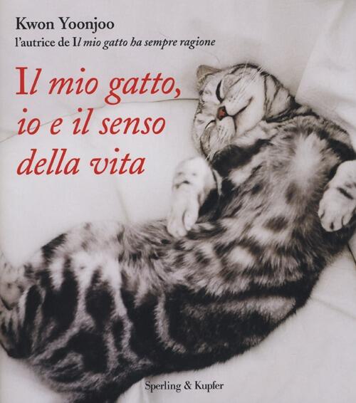 Il Mio Gatto, Io E Il Senso Della Vita