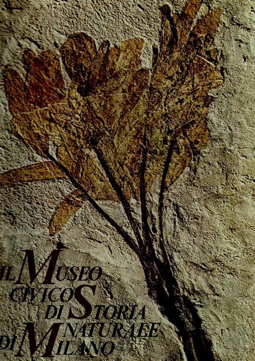 Il Museo Civico Di Storia Naturale Di Milano Cesare Conci …