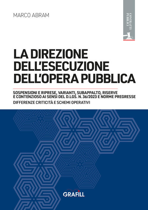 La Direzione Dell'esecuzione Dell'opera Pubblica. Con Webapp