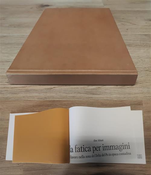 La Fatica Per Immagini. Il Lavoro Nella Zona Del Delta …