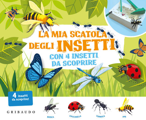 La Mia Scatola Degli Insetti Con 4 Insetti Da Scoprire …
