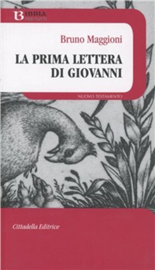 La Prima Lettera Di Giovanni