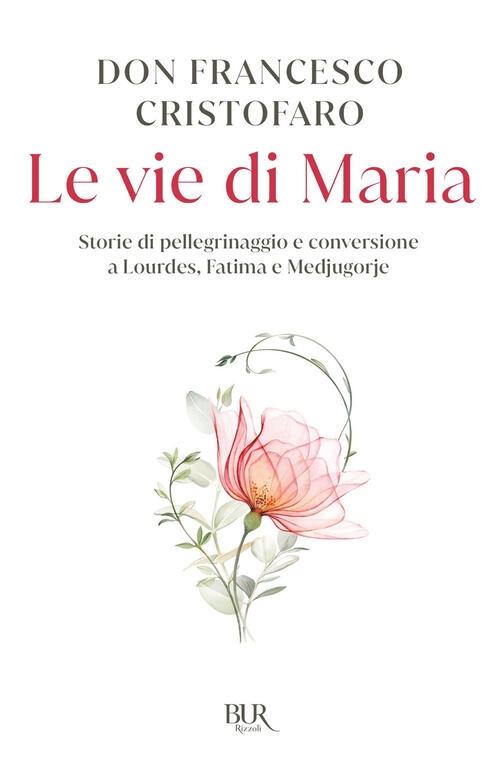 Le Vie Di Maria. Storie Di Pellegrinaggi E Conversioni A …