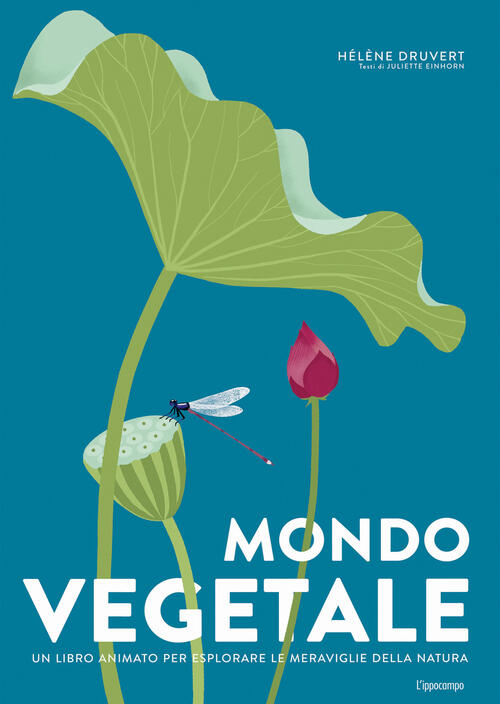 Mondo Vegetale. Un Libro Animato Per Esplorare Le Meraviglie Della …