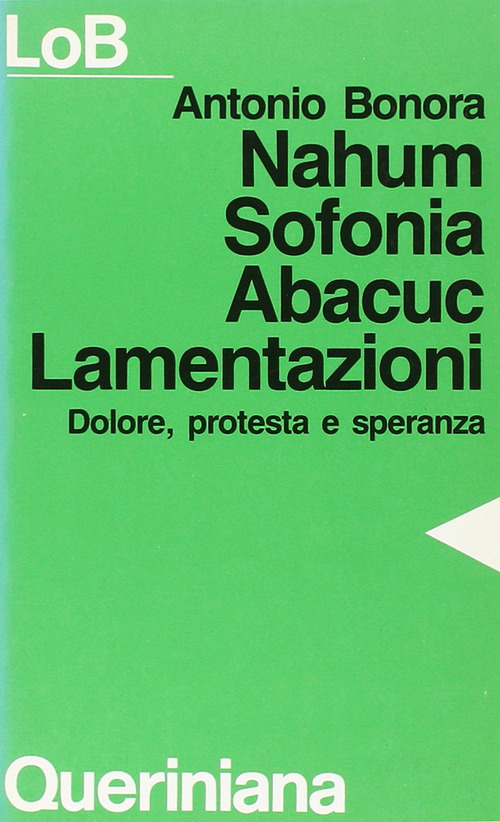 Nahum, Sofonia, Abacuc, Lamentazioni. Dolore, Protesta E Speranza Antonio Bono