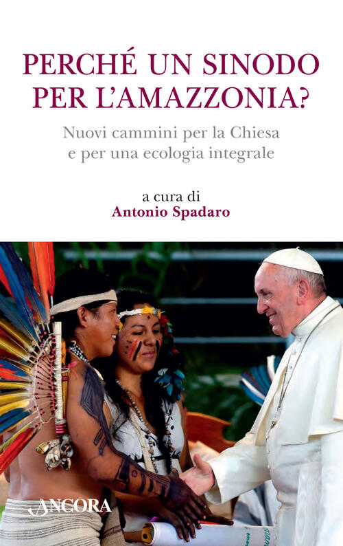 Perche Un Sinodo Per L'amazzonia? Nuovi Cammini Per La Chiesa …